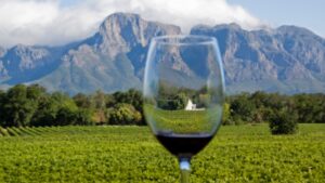 Winelands travel and tour
